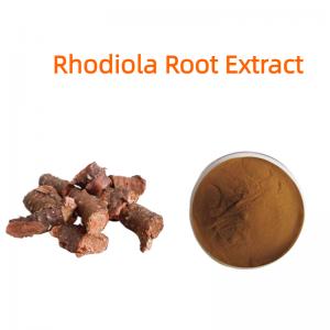 RHODIOLA ROOT EXTRACT